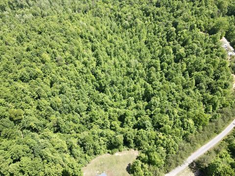 593 Low Gap Rd, Pine Knot, KY 42635 photo 4