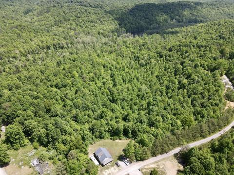 593 Low Gap Rd, Pine Knot, KY 42635 photo 1