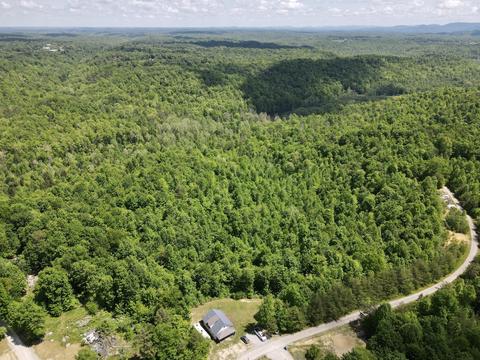 593 Low Gap Rd, Pine Knot, KY 42635 photo 5
