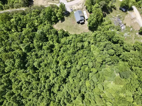 593 Low Gap Rd, Pine Knot, KY 42635 photo 7