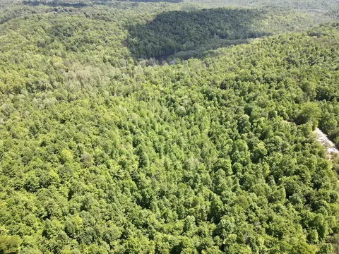 593 Low Gap Rd, Pine Knot, KY 42635 photo 6