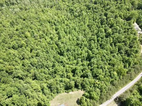 593 Low Gap Rd, Pine Knot, KY 42635 photo 4