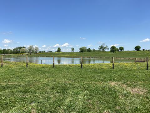 543 Stone Rd, Georgetown, KY 40324 photo 2