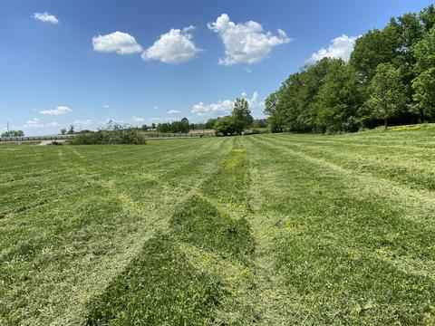 543 Stone Rd, Georgetown, KY 40324 photo 3