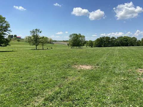 543 Stone Rd, Georgetown, KY 40324 photo 4
