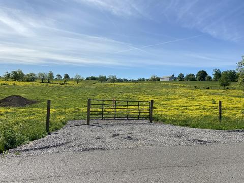 543 Stone Rd, Georgetown, KY 40324 photo 6