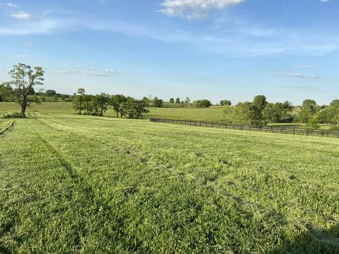 280 Carrick Pike, Georgetown, KY 40324 photo 2