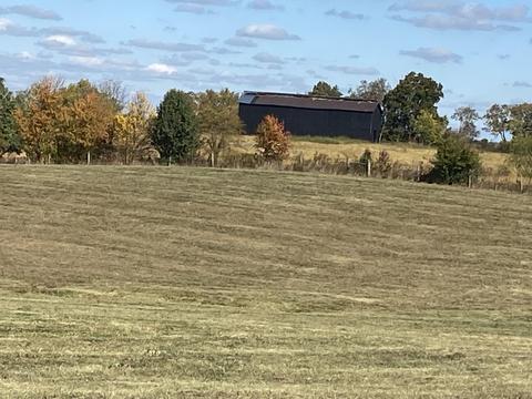 280 Carrick Pike, Georgetown, KY 40324 photo 5
