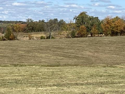 280 Carrick Pike, Georgetown, KY 40324 photo 6