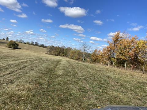 280 Carrick Pike, Georgetown, KY 40324 photo 3