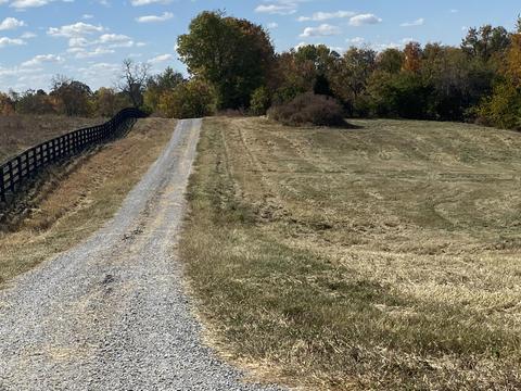 290 Carrick Pike, Georgetown, KY 40324 photo 3