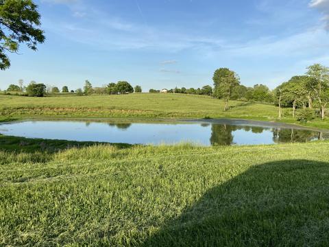 290 Carrick Pike, Georgetown, KY 40324 photo 1