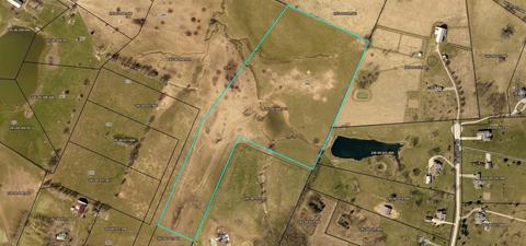 290 Carrick Pike, Georgetown, KY 40324 photo 9