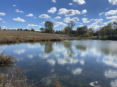 290 Carrick Pike, Georgetown, KY 40324 photo 8