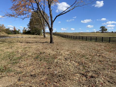 290 Carrick Pike, Georgetown, KY 40324 photo 6