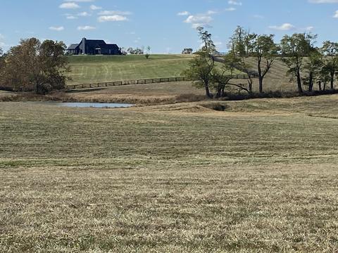 290 Carrick Pike, Georgetown, KY 40324 photo 4