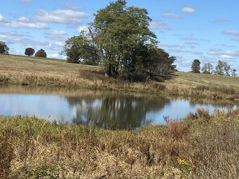 290 Carrick Pike, Georgetown, KY 40324 photo 5