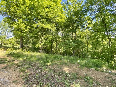 617 Big Barn Rd, Mckee, KY 40447 photo 4