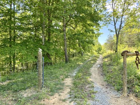 617 Big Barn Rd, Mckee, KY 40447 photo 3