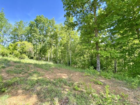 617 Big Barn Rd, Mckee, KY 40447 photo 5
