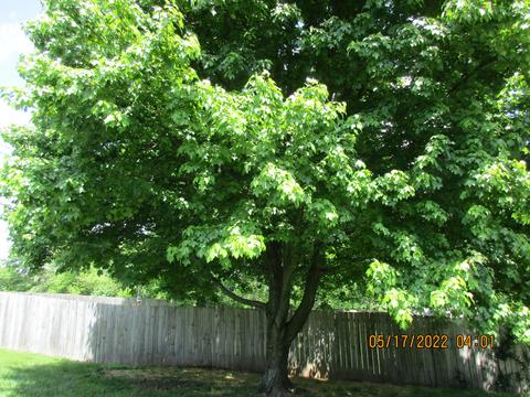 100 Redding Rd, Georgetown, KY 40324 photo 16