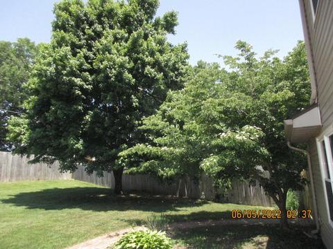 100 Redding Rd, Georgetown, KY 40324 photo 43