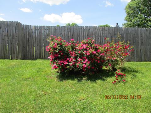 100 Redding Rd, Georgetown, KY 40324 photo 13