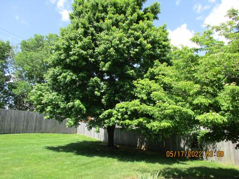 100 Redding Rd, Georgetown, KY 40324 photo 12