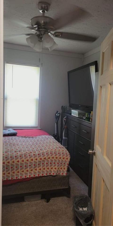 508 Payne Ave, Georgetown, KY 40324 photo 19