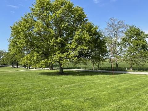 6380 Ware Rd, Paris, KY 40361 photo 13