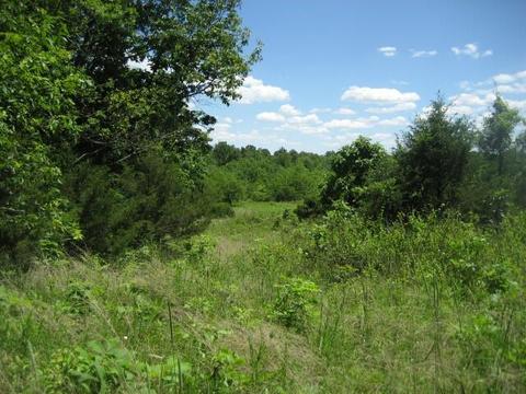 1234 A Rutherford School Rd, Lawrenceburg, KY 40342