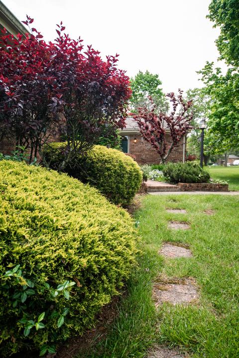 619 Aztec Trl, Georgetown, KY 40324 photo 52