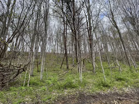lot Apt 20 Laredo Dr, London, KY 40741