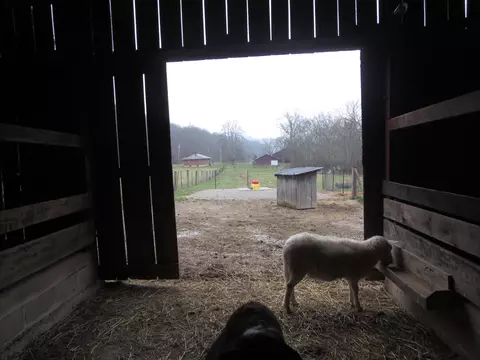 2875 Pointer Creek Rd, Science Hill, KY 42553 photo 71