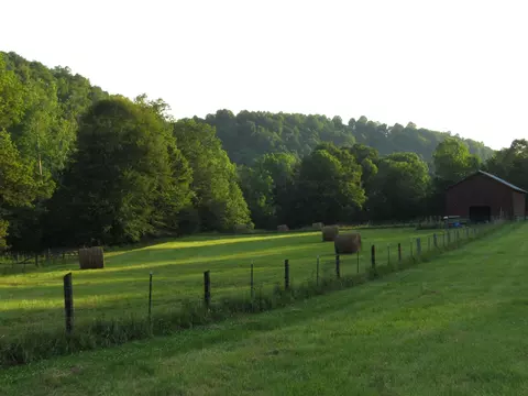 2875 Pointer Creek Rd, Science Hill, KY 42553 photo 6
