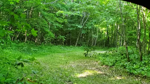 2875 Pointer Creek Rd, Science Hill, KY 42553 photo 60