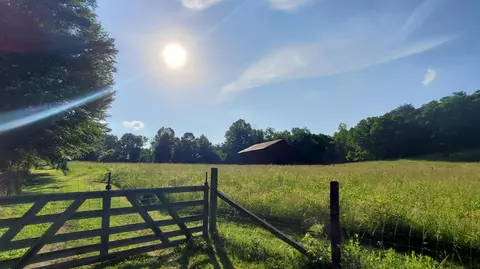 2875 Pointer Creek Rd, Science Hill, KY 42553 photo 1