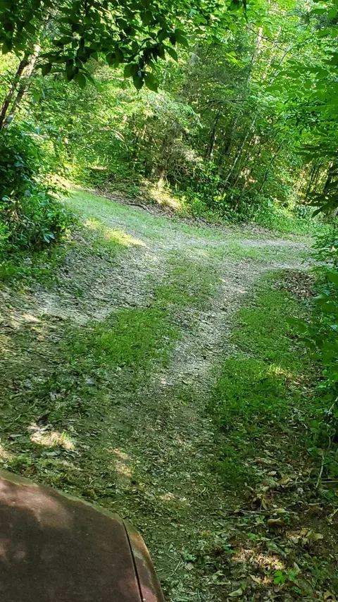 2875 Pointer Creek Rd, Science Hill, KY 42553 photo 59