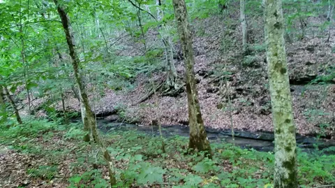 2875 Pointer Creek Rd, Science Hill, KY 42553 photo 51