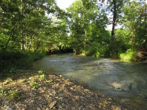 2875 Pointer Creek Rd, Science Hill, KY 42553 photo 5
