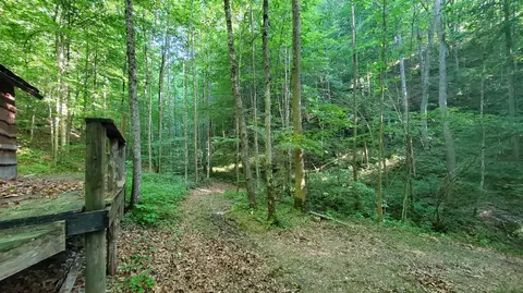2875 Pointer Creek Rd, Science Hill, KY 42553 photo 52