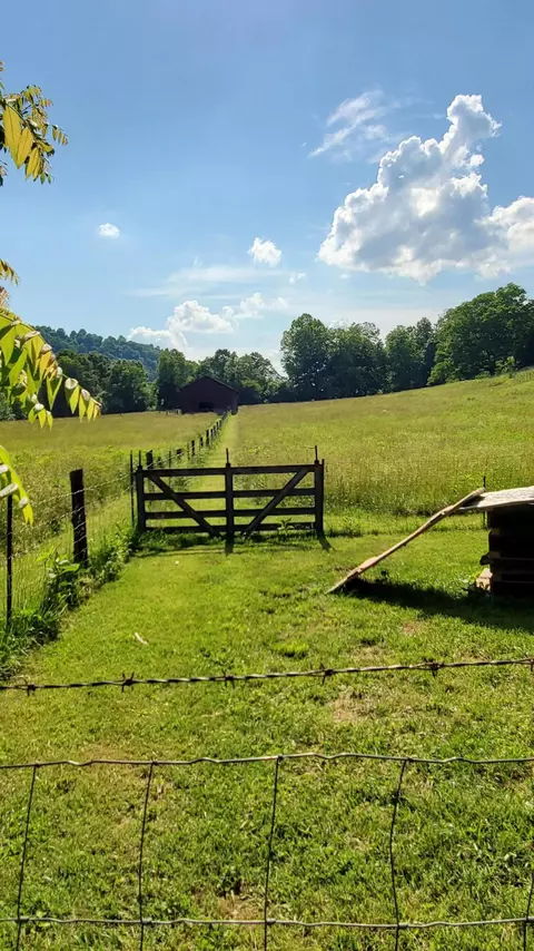 2875 Pointer Creek Rd, Science Hill, KY 42553 photo 61