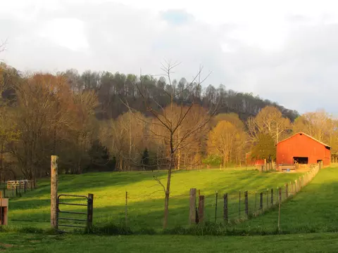 2875 Pointer Creek Rd, Science Hill, KY 42553 photo 3