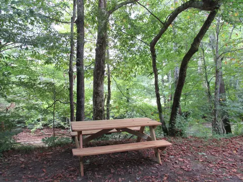 2875 Pointer Creek Rd, Science Hill, KY 42553 photo 32