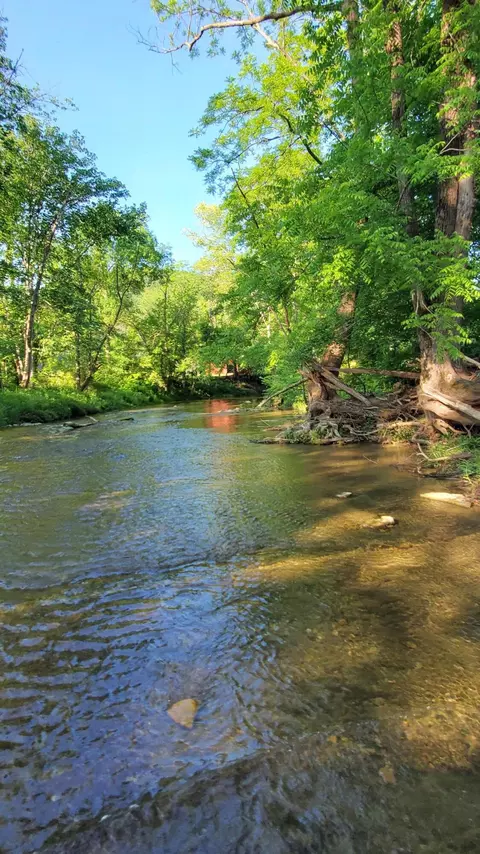 2875 Pointer Creek Rd, Science Hill, KY 42553 photo 65