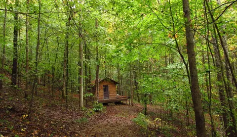 2875 Pointer Creek Rd, Science Hill, KY 42553 photo 54