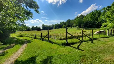 2875 Pointer Creek Rd, Science Hill, KY 42553 photo 49