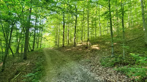 2875 Pointer Creek Rd, Science Hill, KY 42553 photo 64