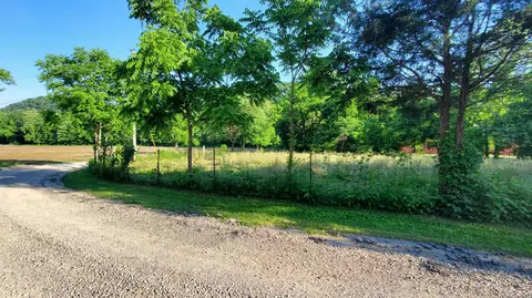 2875 Pointer Creek Rd, Science Hill, KY 42553 photo 30