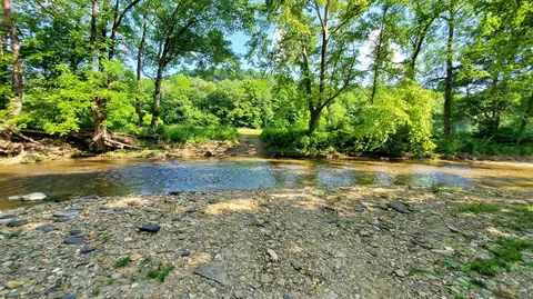 2875 Pointer Creek Rd, Science Hill, KY 42553 photo 62